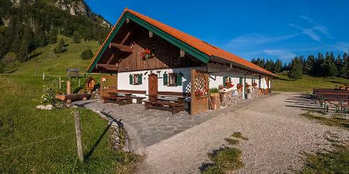 Musi auf da Alm