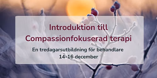 Introduktion till Compassionfokuserad terapi