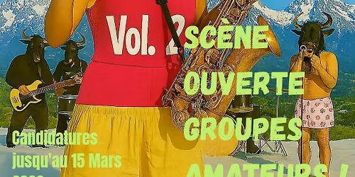 Groupes amateurs, Festival Son du Laudon volume 2