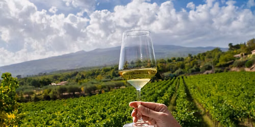 Sicilian Wine Dinner