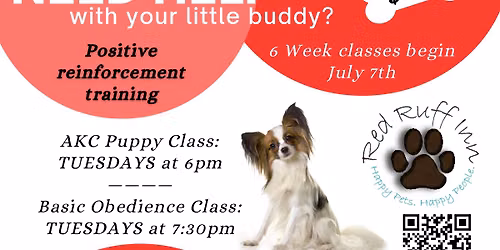 Dog Training Classes