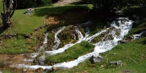 Drume\u021bie pentru copii la Izvoarele Barc\u0103ului