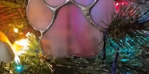 Dog Yoga & Stained Glass Paw Ornament Workshop