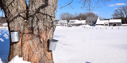 Maple Sugaring Tour