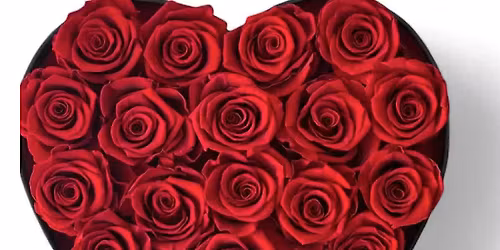 Valentine\u2019s Day Floral Experience: Love in Bloom