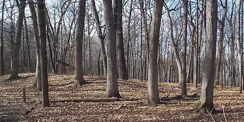 Class: Effigy Mounds of Southern Wisconsin (FULL)
