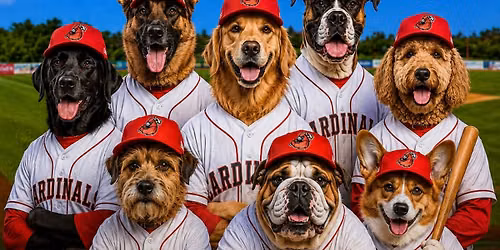 Bark in the Park! Hamilton Cardinals vs Guelph Royals