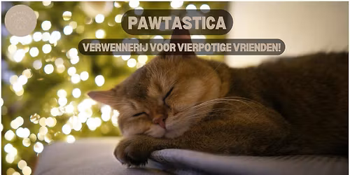 Kerstmarkt in Hasselt \ud83c\udf84