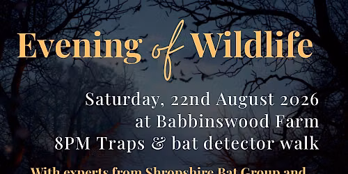 Evening of wildlife at Babbinwood Farm - Bat Walk and Moth Survey