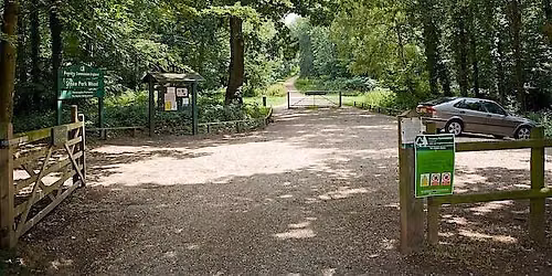 Stoke Park Woods - WalkTogether Eastleigh