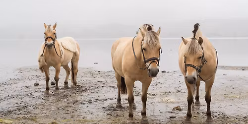 Rendezvous with NZ Fjords in Wanaka
