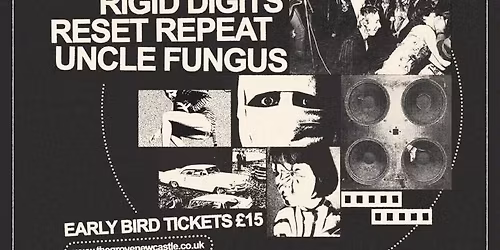 Grove punk all dayer