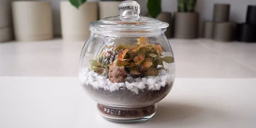Terrarium Bar
