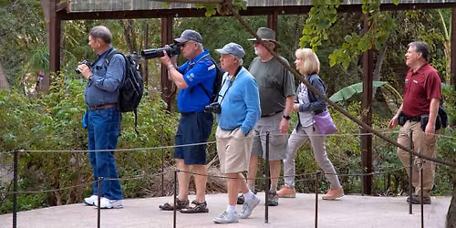 Animals in Focus: Photography Classes