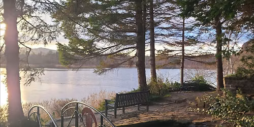 An Autumn Gathering at Dr Neil's Garden Forest Bathing & Aromatherapy