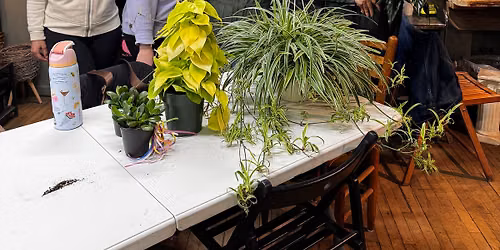 Plant Bingo Plainville Sat 6\/6