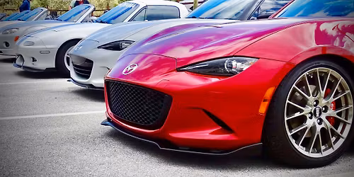 Wiley's New York Style Pizza - Meet & Eat