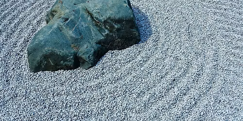 ZEN FOR A BUSY MIND: FROM NOISE TO NOW