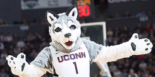 UConn Huskies at Louisville Cardinals Womens Basketball at KFC Yum Center
