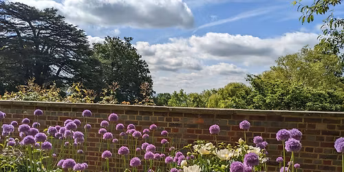 Bloom in June: Allium and Peony time in the Walled Garden!