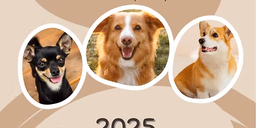 Hitek \u00e9s t\u00e9vhitek a csal\u00e1di kutya kik\u00e9pz\u00e9sben EL\u0150AD\u00c1S