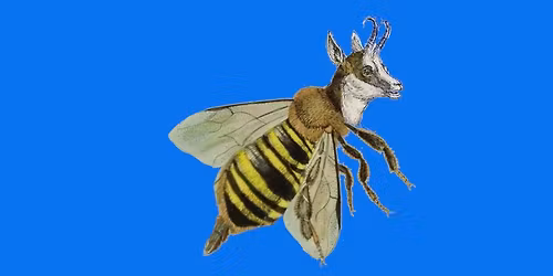 S M O G 128 ARTS\u00b2 MONS & CONSERVATOIRE ROYAL DE LIEGE