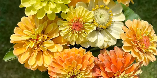 Floral Arrangement Fundamentals