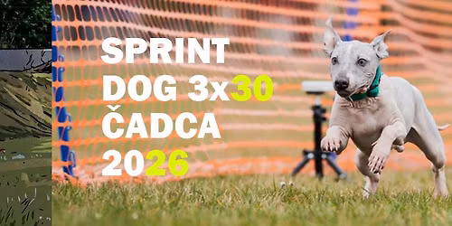 Sprint Dog 3x30 \u010cadca