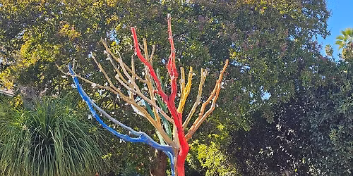 Evermore Fantasy Ball