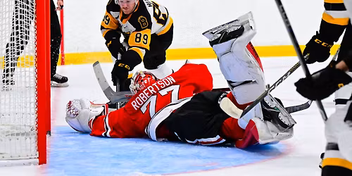 Brantford Bulldogs vs. Niagara IceDogs