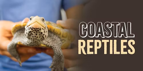 Coastal Reptiles