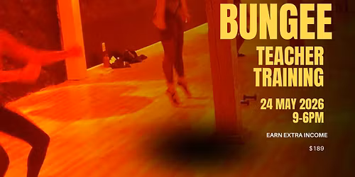 Bungee Fitness Teacher Training