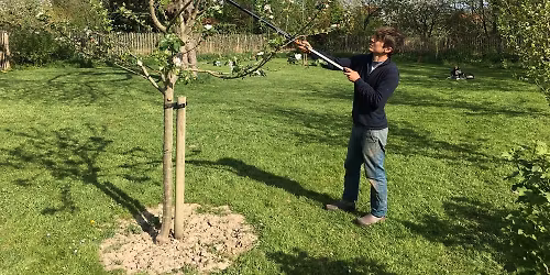 Initiation \u00e0 la taille de fruitiers 