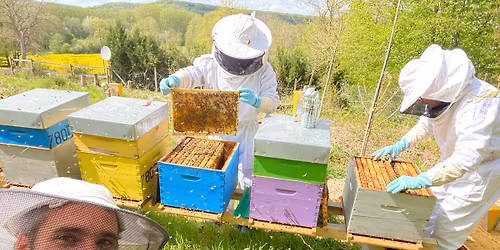 Ma Premi\u00e8re Ruche