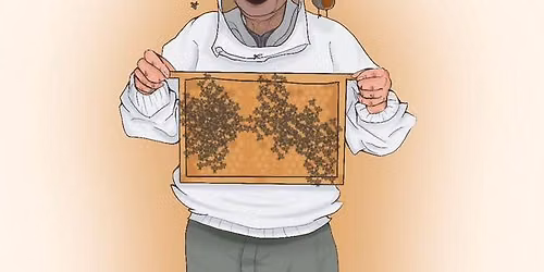 FULLY BOOKED - Beekeeping Experience Day