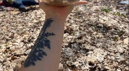 Spring Forest Bathing Class