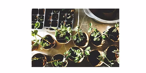 Rowan Extension Master Gardener Propagation Workshop