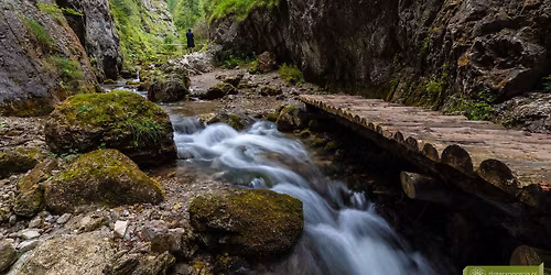 W\u0104WOZY CHOCZA\u0143SKIE 220.-