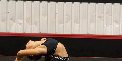 Flyer & Flexibility Workshop, Thursday 23rd July, 1:30-3:00pm