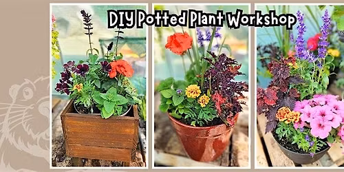 Potted Planter Workshop