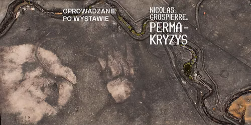 Oprowadzanie dla Generacji 60+ po wystawie \u201eNicolas Grospierre. Permakryzys\u201d