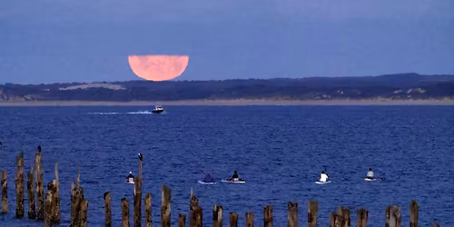 Full Moon SUP (Stand Up Paddle)