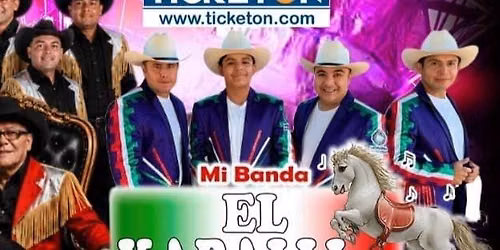 BANDA R-15 & MAS