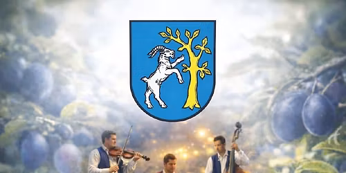 \u0160tudlovsk\u00fd ko\u0161t slivovice