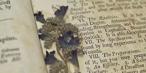 Workshop: Discovering pressed plants in books, and how to care for them