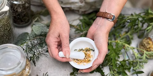 Winter Remedies from the Garden