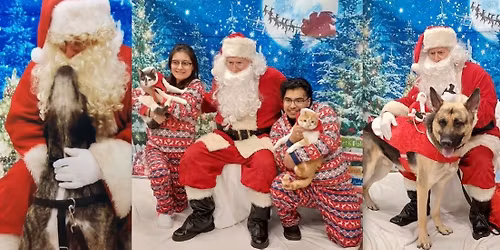 Pictures with Santa Paws