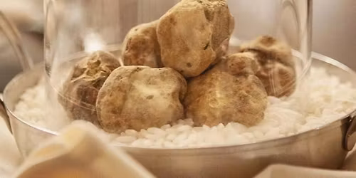 Truffle Dinner at The Apis (Night 1)