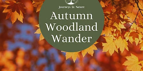 Autumn Woodland Wander