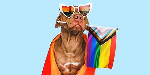 Barksuds + Wiggles Way Rescue  @ Capital Pride Parade